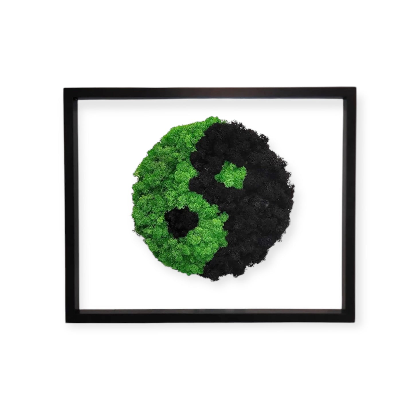 Yin Yang - Quadro in lichene