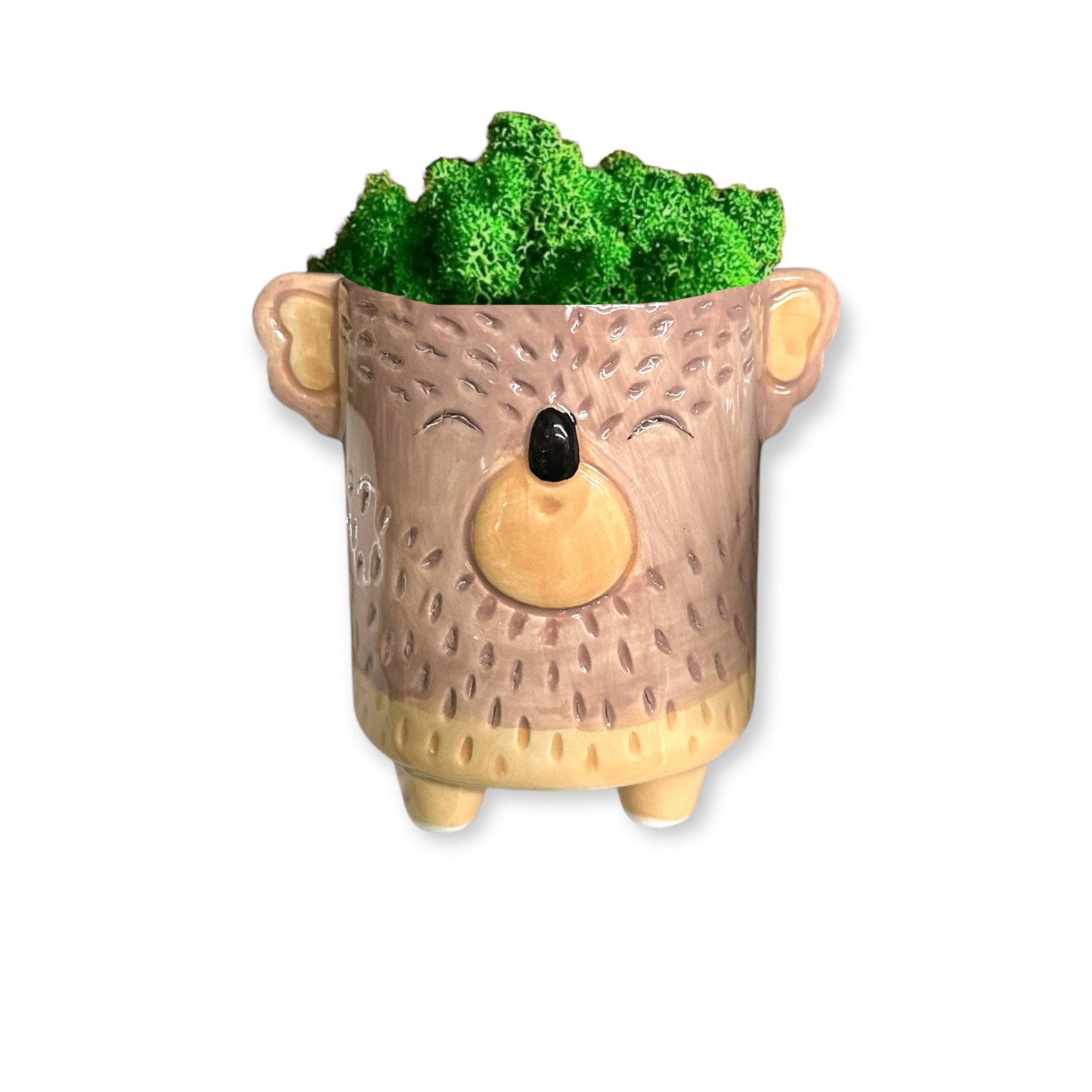 Green Koala - Vaso con koala in lichene