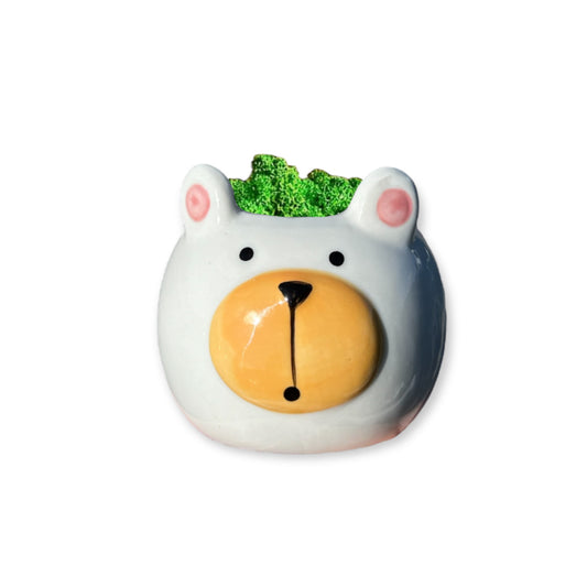 Mossy Bear - Vaso con orso in lichene stabilizzato