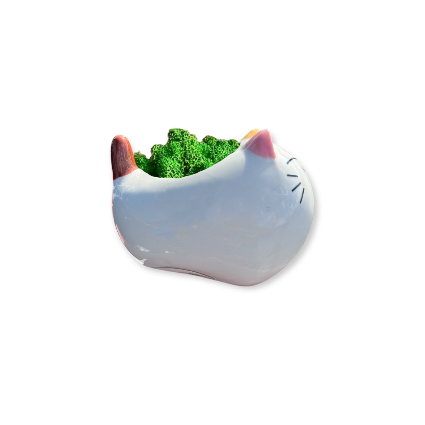 Moss Cat II - Vaso con gatto in lichene