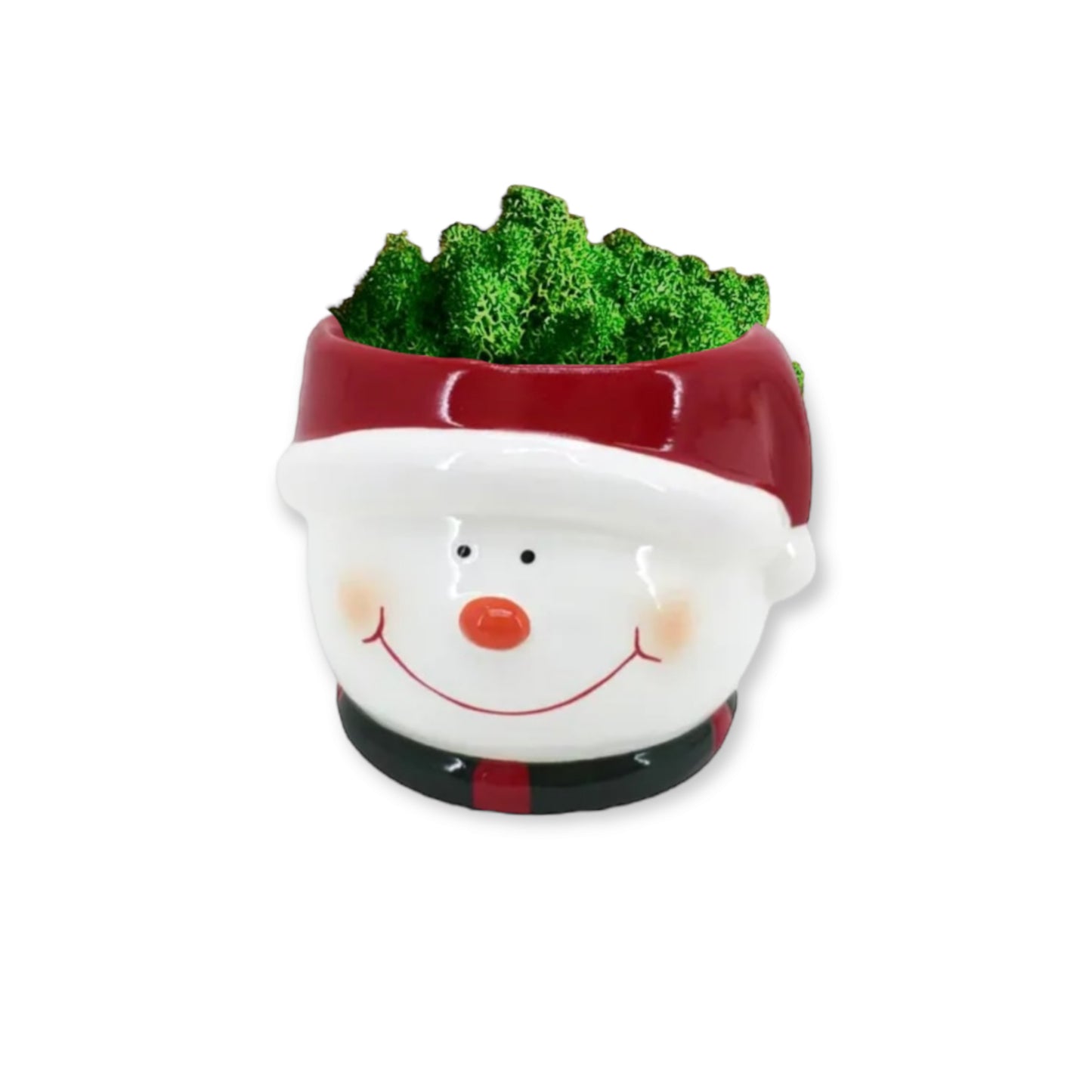 Christmas Green Snowman - Vaso con pupazzo di neve in lichene