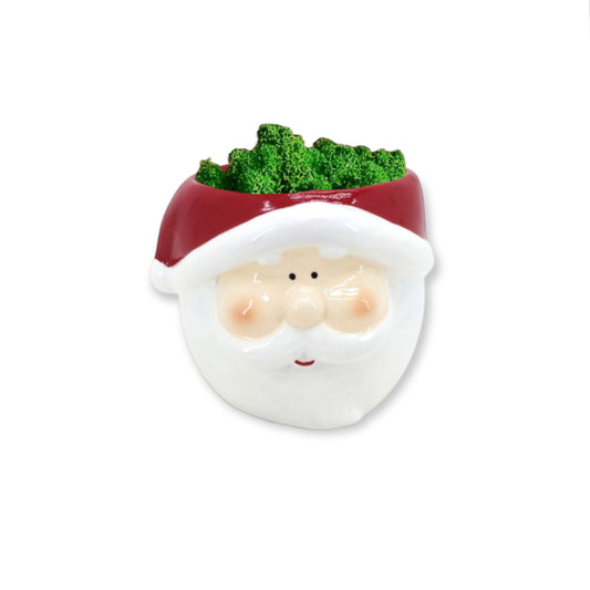 Christmas Green - Vaso con Babbo Natale in lichene