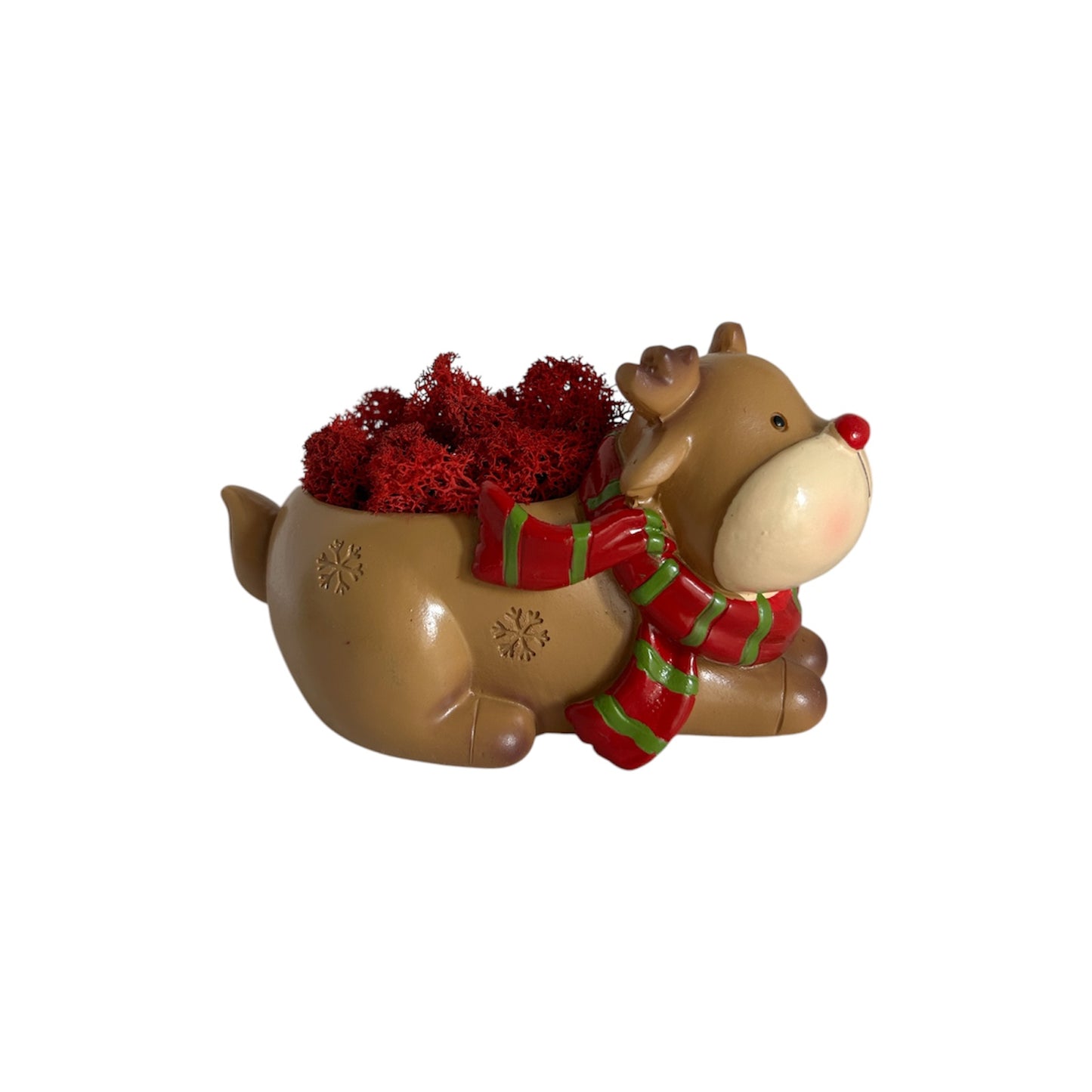 Christmas Reindeer - Vaso con renna in lichene stabilizzato